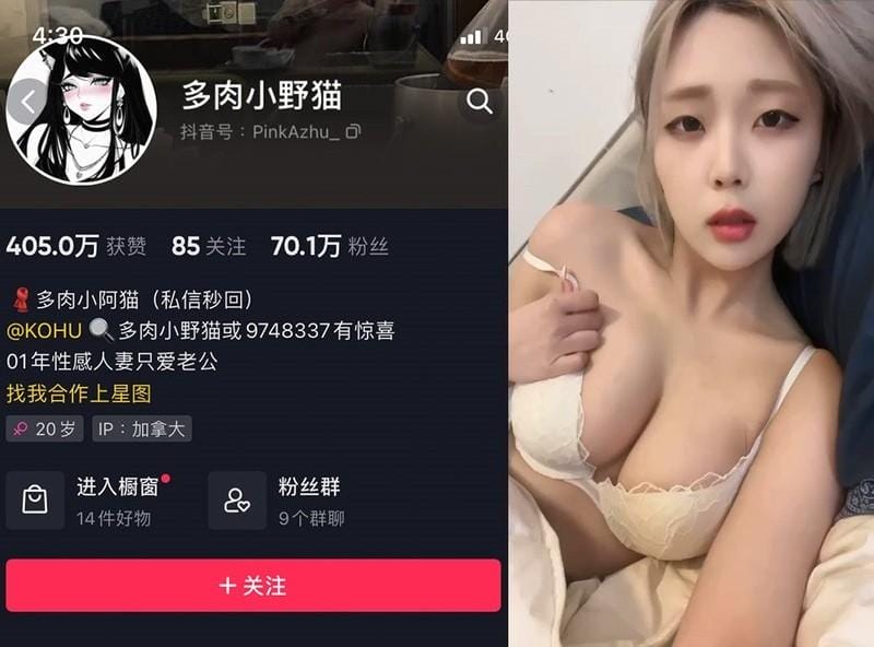 多肉小野猫 – 微密圈写真&amp;视频合集【持续更新中】