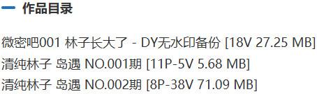 清纯林子 – 微密圈/岛遇等写真&amp;视频合集【持续更新中】