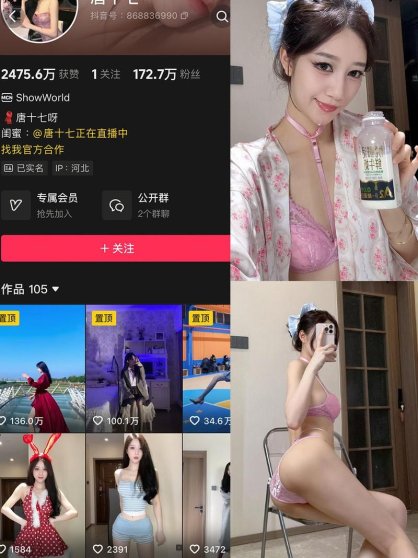 唐十七 – 微密圈/秘语空间等写真&视频合集【持续更新中】