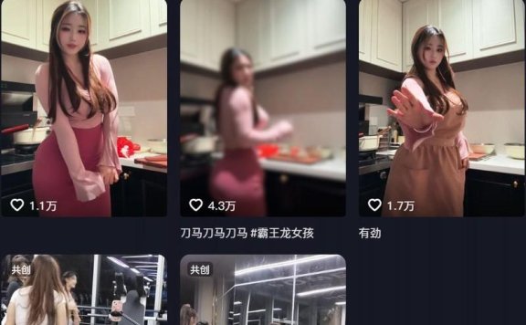 霸王龙女孩 – 微密圈写真&视频合集【持续更新中】